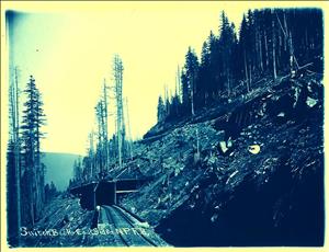 Railroad tracks lead into a tunnel on a steep forested hillside. 